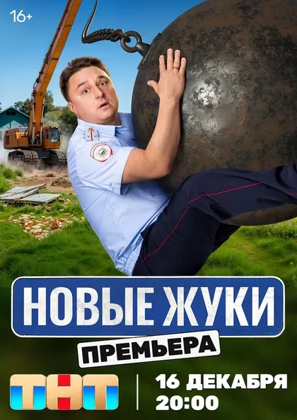 Постер Жуки